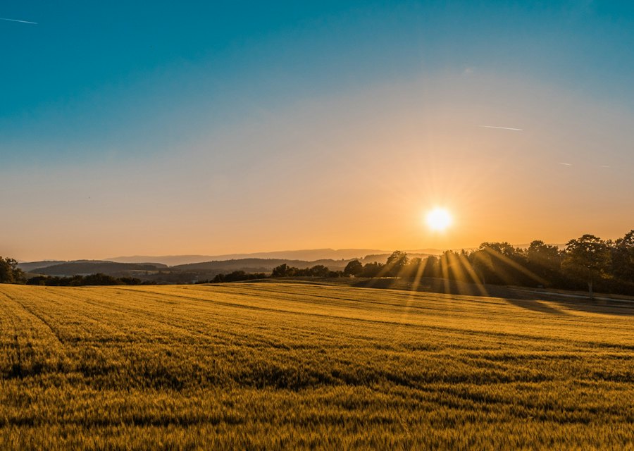 Open land at sunrise